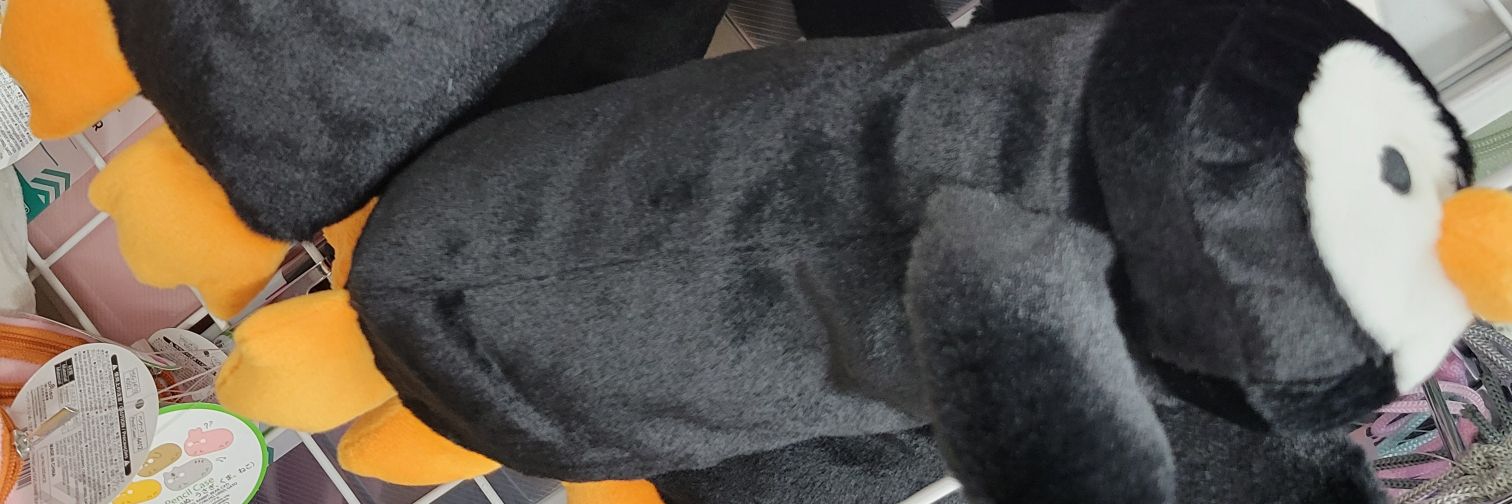 みい banner