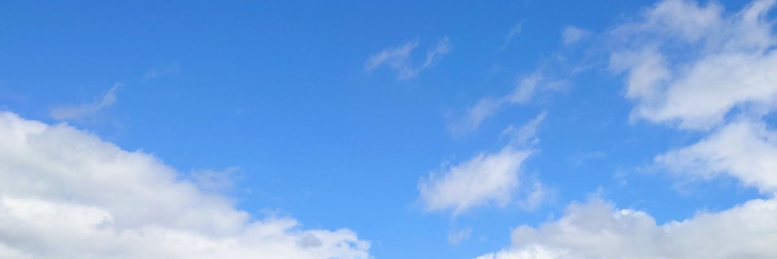 Saino_special's profile banner image