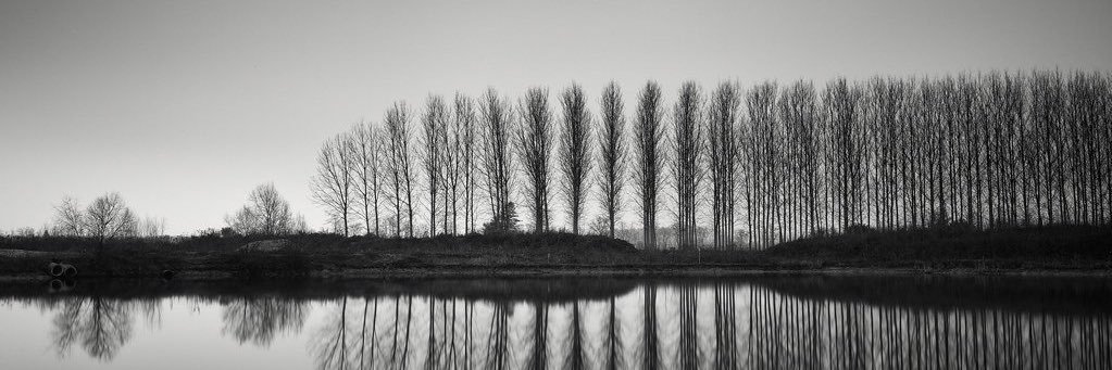 Staršynia Paleskaha kraju banner