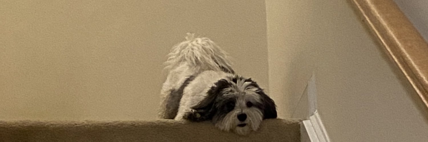 jakecommo's profile banner image