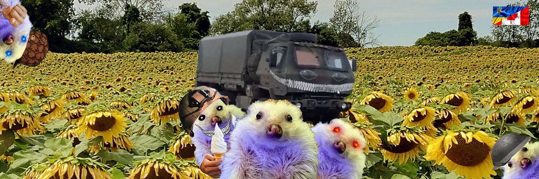 NAFOKnight's profile banner image