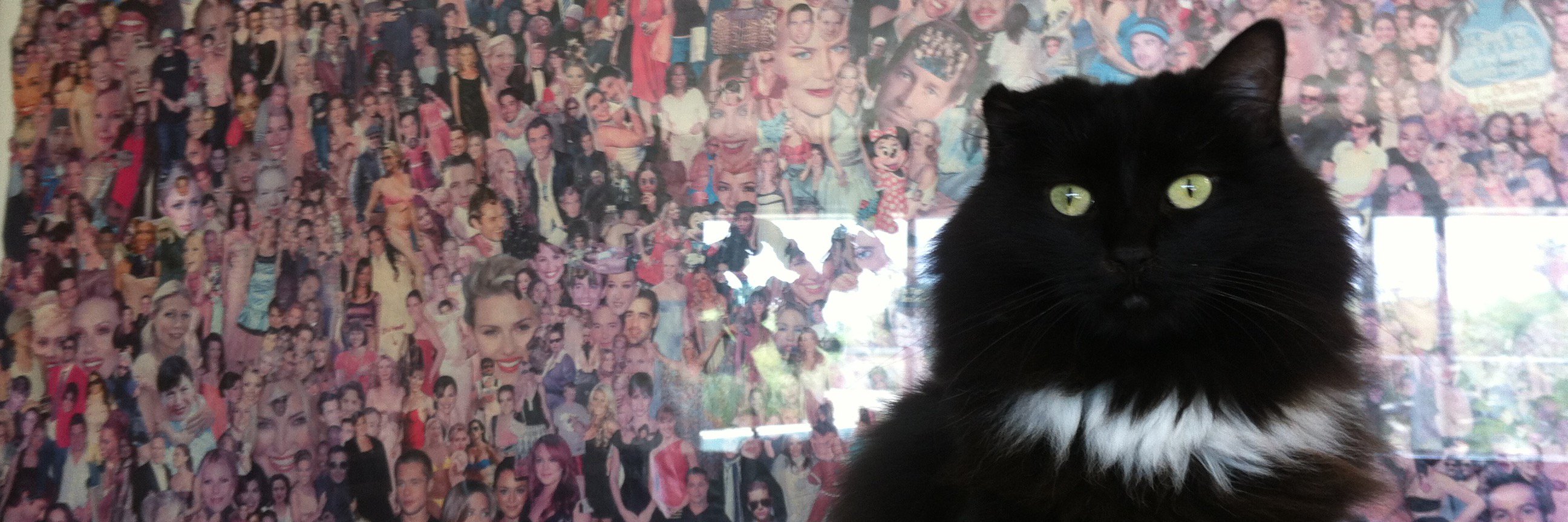 JulesAsner's profile banner image