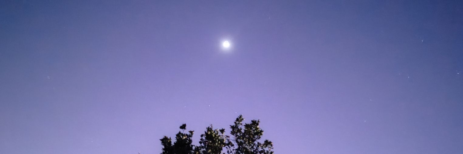 MIGUE2514's profile banner image
