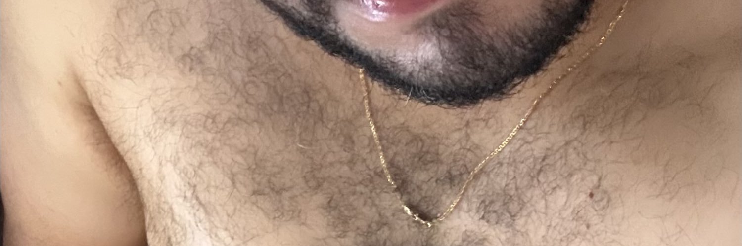 Hugo Bear 20cm banner