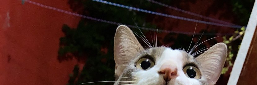 RomynaMR's profile banner image