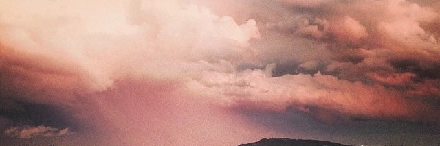 Maria Dominguez banner
