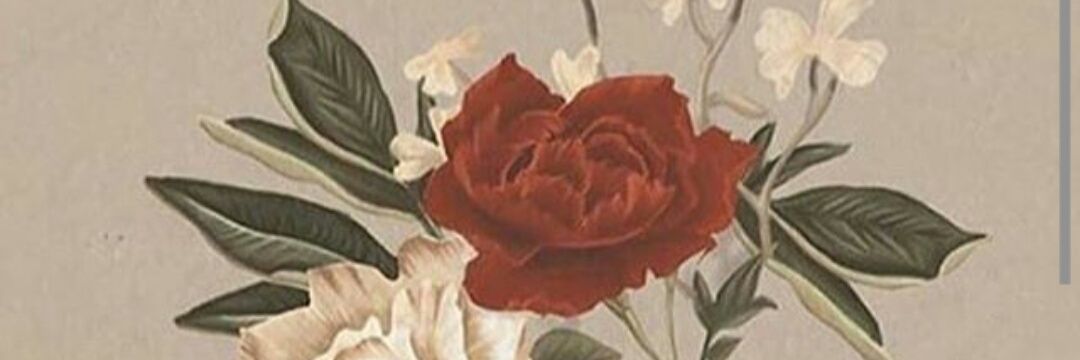 TuteShalala's profile banner image