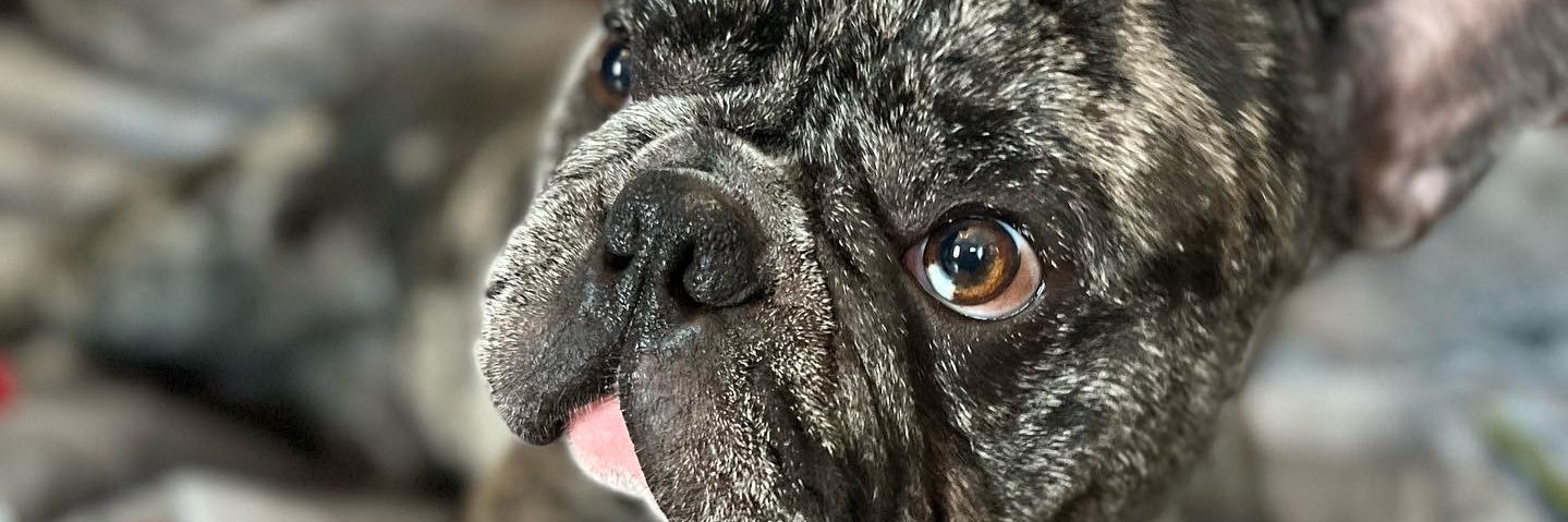 _esmevv's profile banner image