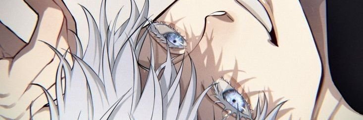 Trafalgar D. Lisha banner