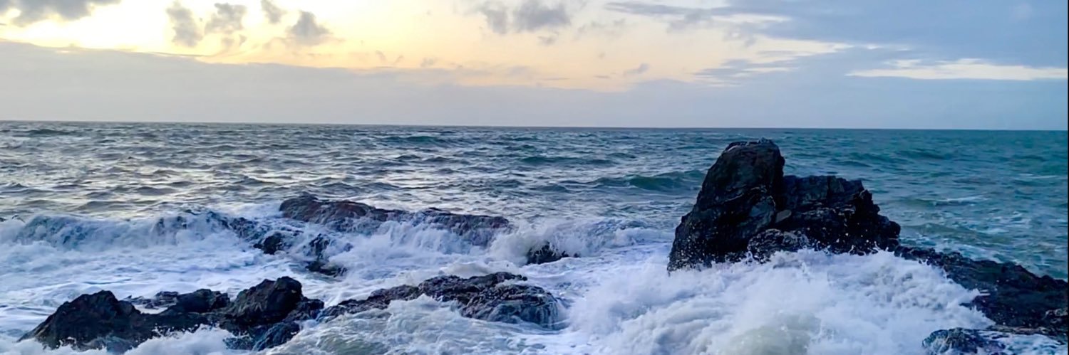 Viatorem Invisus 🏴‍☠️ banner