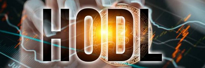 helen_fintech banner