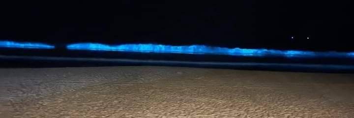 PinPon6902's profile banner image