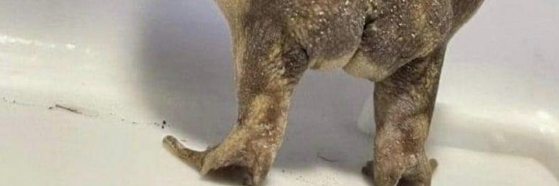 Gary Jones☀️🏴‍☠️🪝 banner