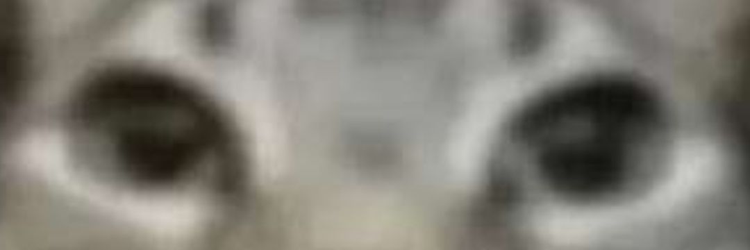 Shin_InHeat's profile banner image