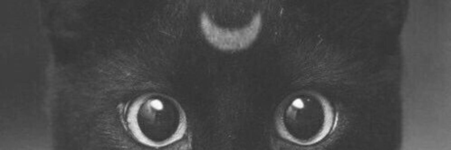 MarielisGuzman3's profile banner image