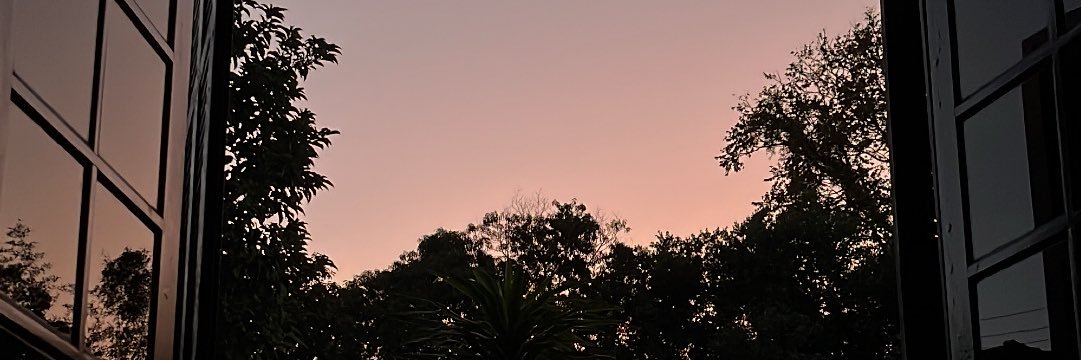 phzfiori's profile banner image