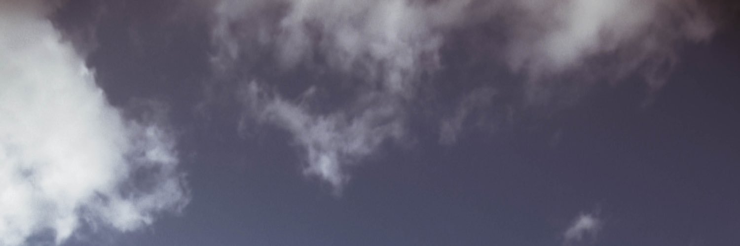 mariahselenee's profile banner image
