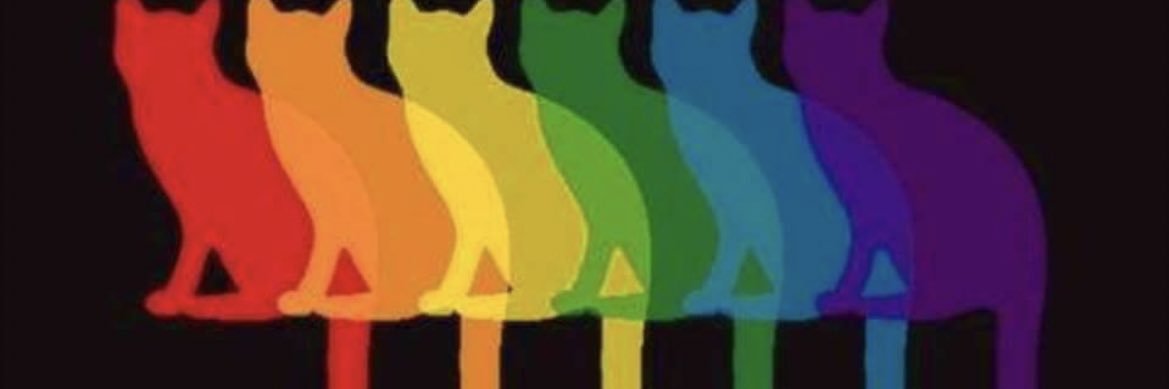 _anderpai18's profile banner image