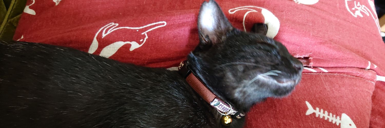 びんごぼんご banner