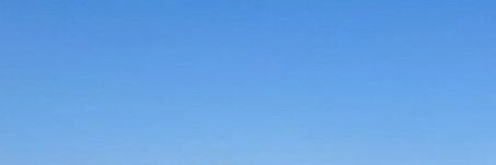 Michelle banner