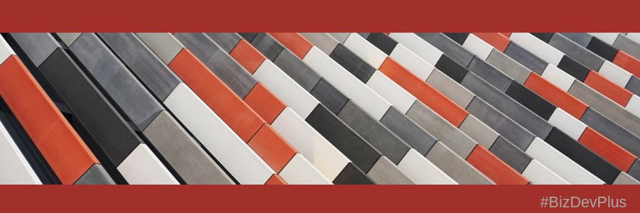 bizdevplusinc's profile banner image