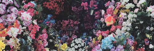 aimhseb's profile banner image