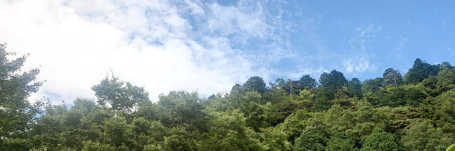 mguuuu31's profile banner image