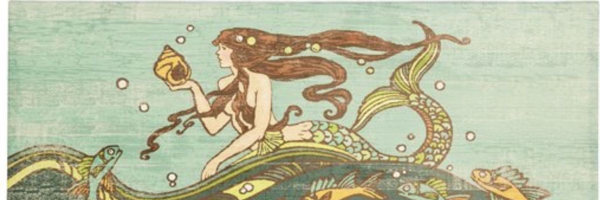 sarah 🐚⭐️ banner