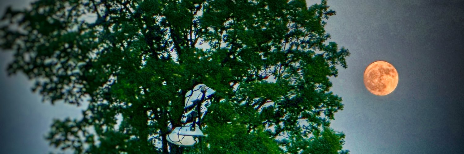 Chris Morley, PhD banner