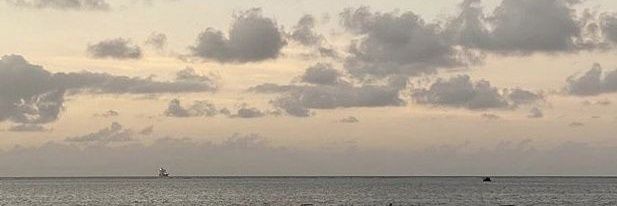 latibulepetals's profile banner image