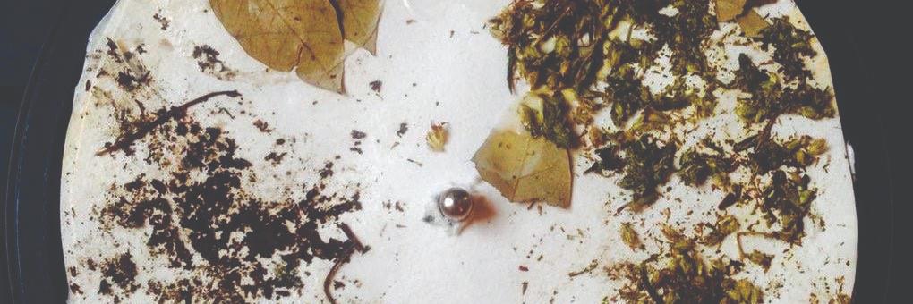 londonartsboard's profile banner image