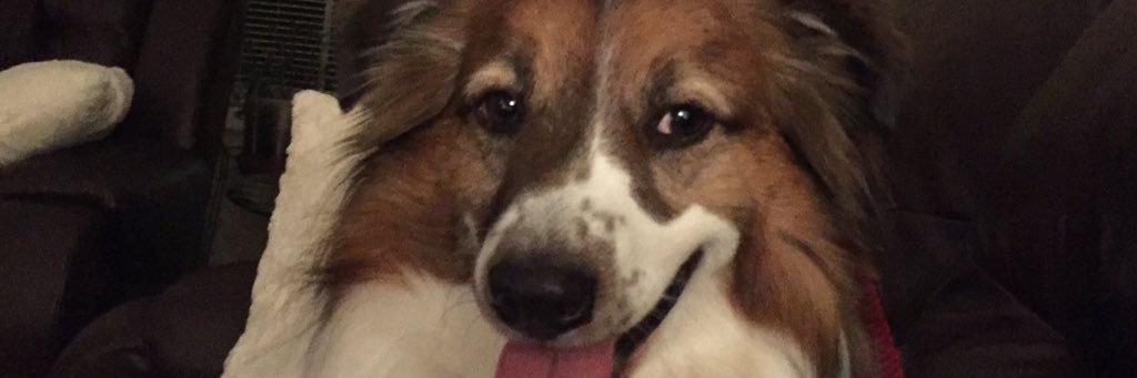 kimbercares's profile banner image