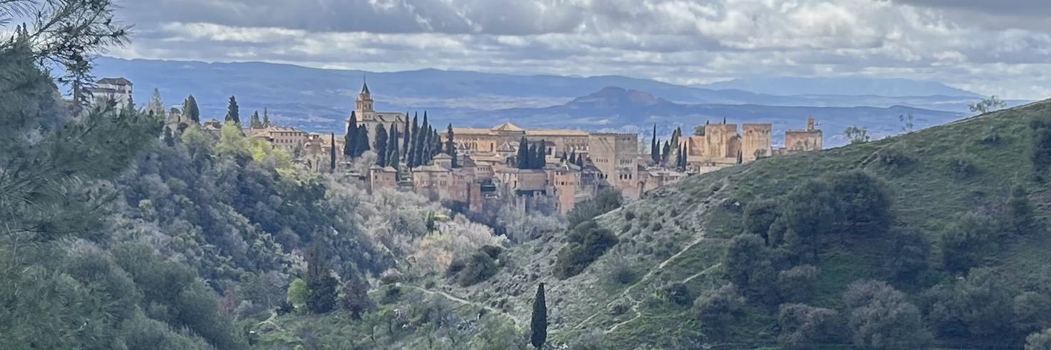 Brandon Bronzan banner