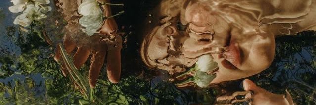 eiramroy's profile banner image