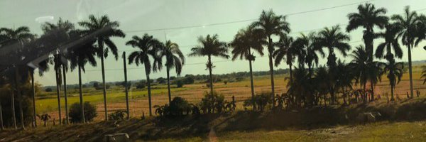 michaflores Profile Banner