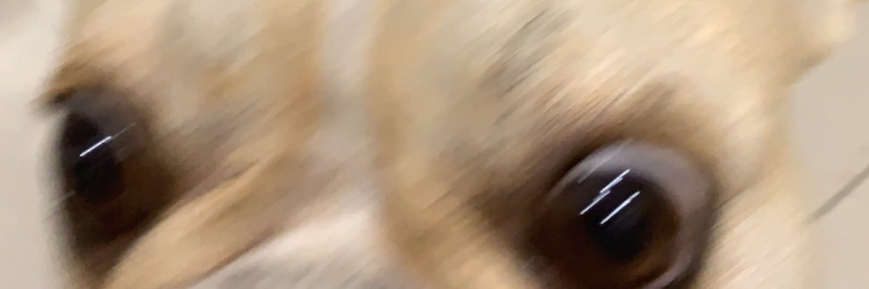 elliissa_'s profile banner image