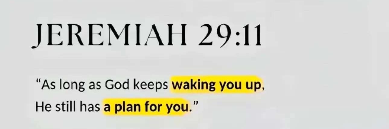 Chase Sheldon banner