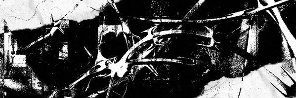 R0Y70R banner