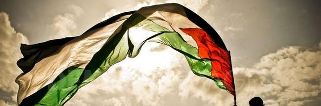 Fhamy 🇵🇸 banner