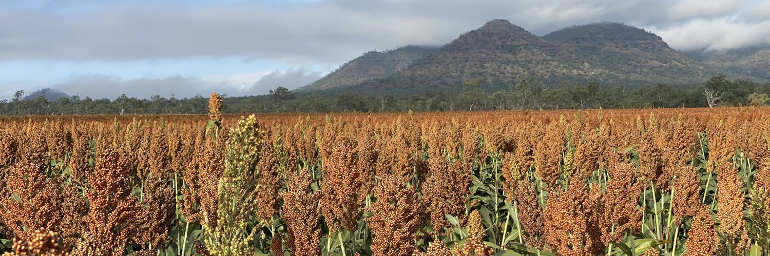 Radicle Agriculture banner