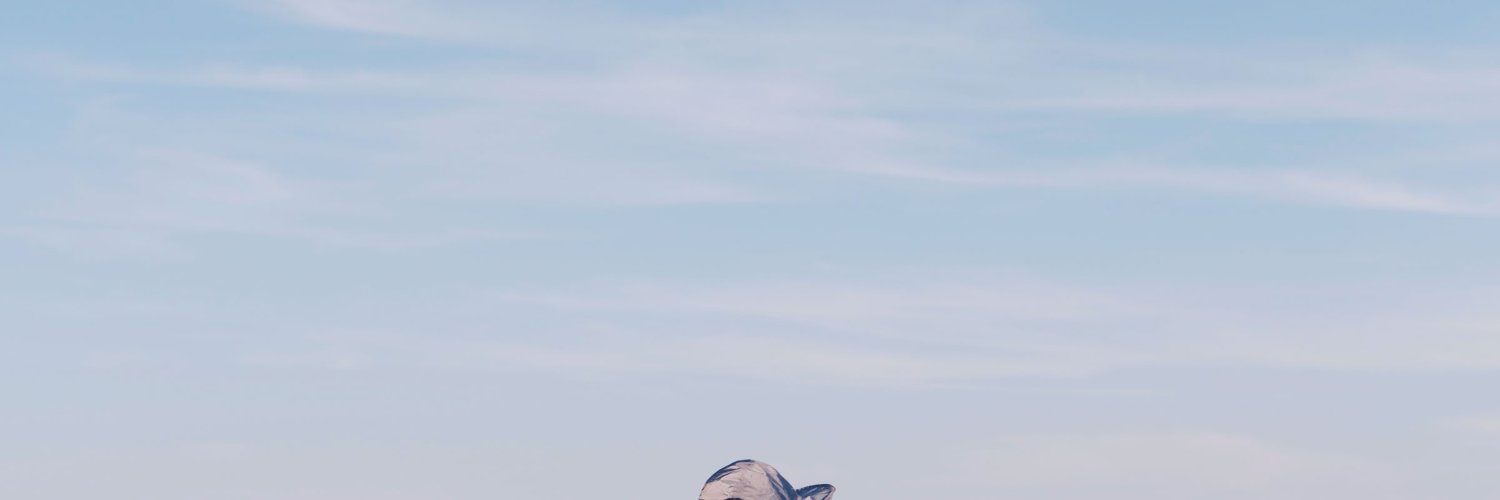 Mae Labadie 🛸 banner