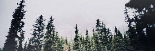 laura_hamy's profile banner image