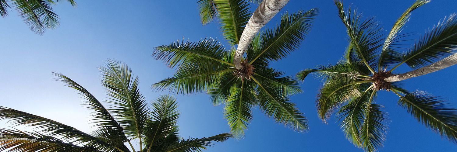 SebastMaldonado's profile banner image