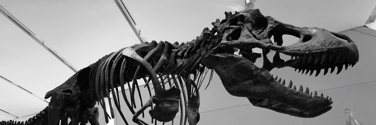 georgia_pepler's profile banner image