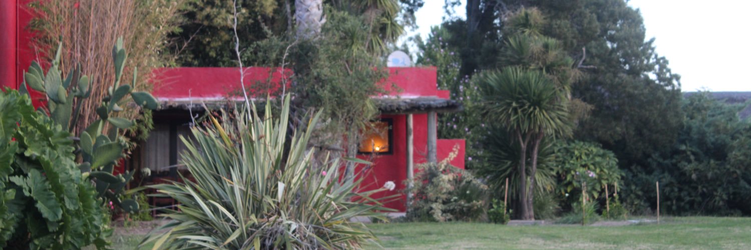 Fernando Botto, MD, MSc banner