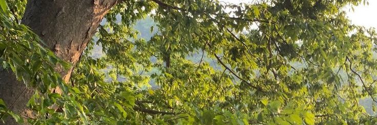 Eziryl's profile banner image