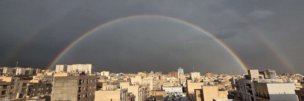 رز بنفش بی روح banner