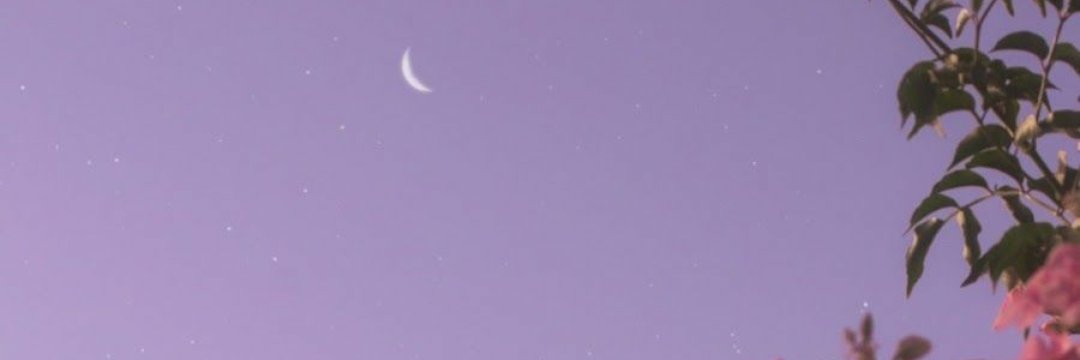 OrnelaBarella's profile banner image
