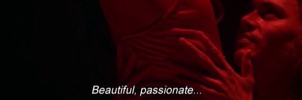 belladelara's profile banner image