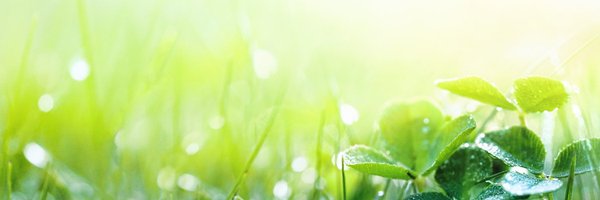 ZelfWijzer Profile Banner